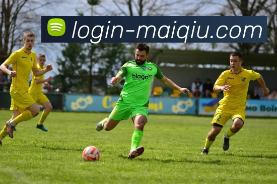 买球官网入口APP 封面图