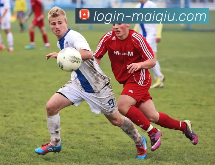 数据防护可视化